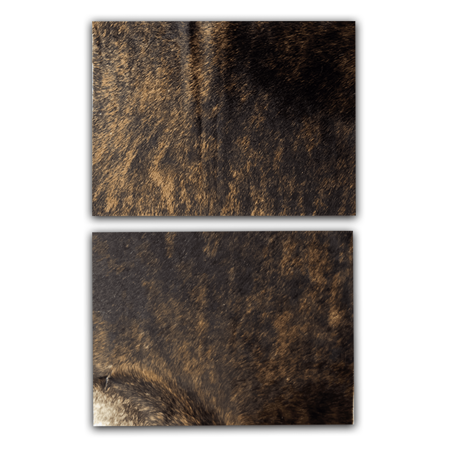 Echtes Kuhfell 2er - Platzset Die exotische Schönheit" Tischset handgefertigt geruchsneutral Esstisch, modern braun gestromt, getigert 40x30cm - unendlich - schoen