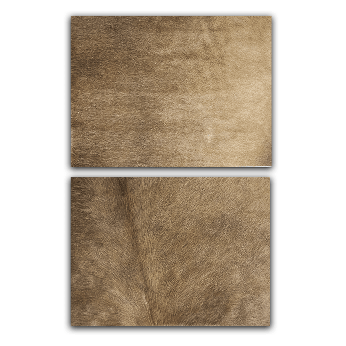 Echtes Kuhfell 2er - Platzset "Die warme Schönheit" Tischset handgefertigt geruchsneutral Esstisch, modern taupe braun 40x30cm - unendlich - schoen