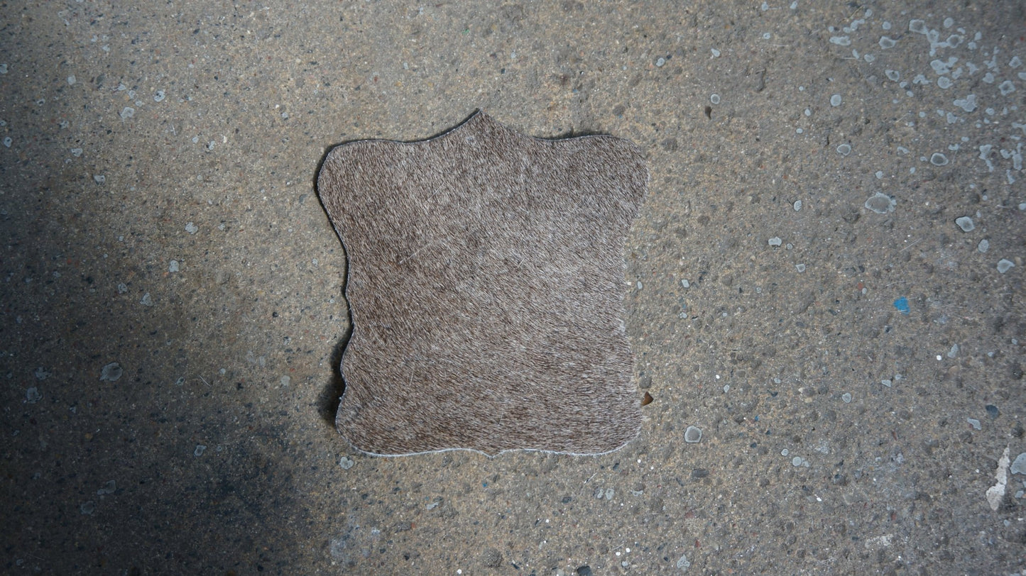 Echte Kuhfell Glasuntersetzer " Die moderne Schönheit" selten, edel schlicht, pflegeleicht, rustikal taupe grau 13cm Ø - unendlich - schoen