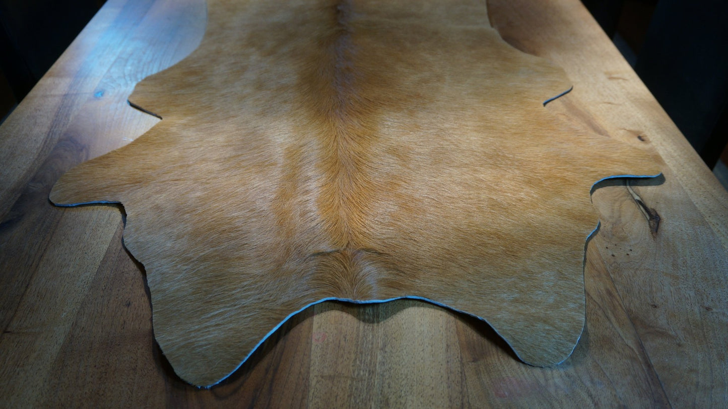 Echter Kuhfell Teppich klein "Die nordische Schönheit" Läufer für Wohnzimmer Flur Eingangsbereich, Rinderfell für kleinere Flächen, rustikal champagner blond 160x70cm / 120x55cm - unendlich - schoen