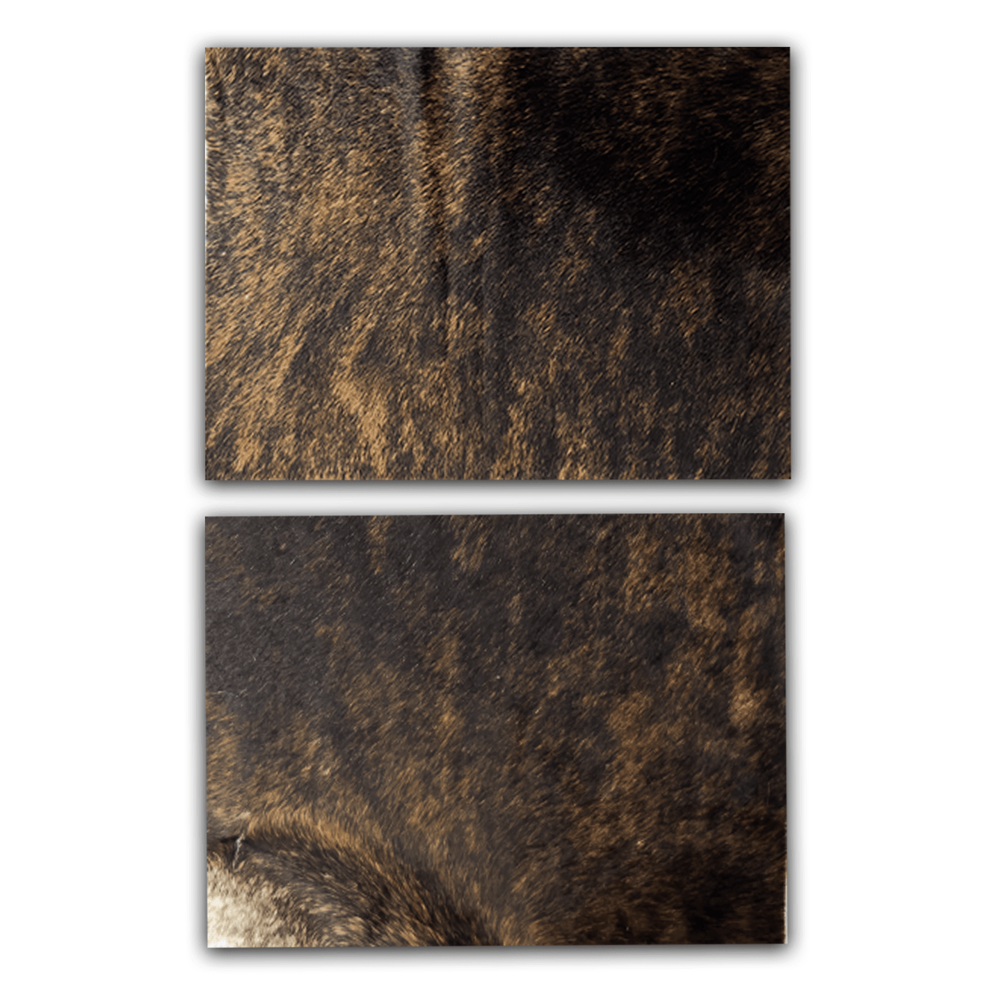 Echtes Kuhfell 2er - Platzset Die exotische Schönheit" Tischset handgefertigt geruchsneutral Esstisch, modern braun gestromt, getigert 40x30cm - unendlich - schoen