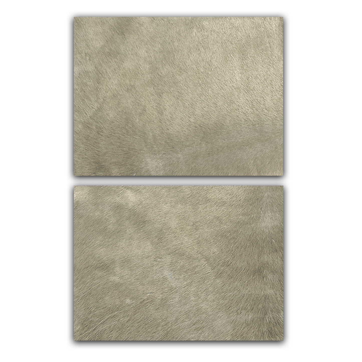 Echtes Kuhfell 2er - Platzset "Die moderne Schönheit" Tischset handgefertigt geruchsneutral Esstisch, modern taupe grau 40x30cm - unendlich - schoen