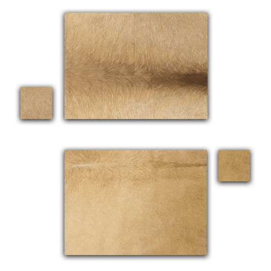 Echtes Kuhfell 2er - Platzset "Die nordische Schönheit" Tischset handgefertigt geruchsneutral Esstisch, modern champaner blond 40x30cm - unendlich - schoen