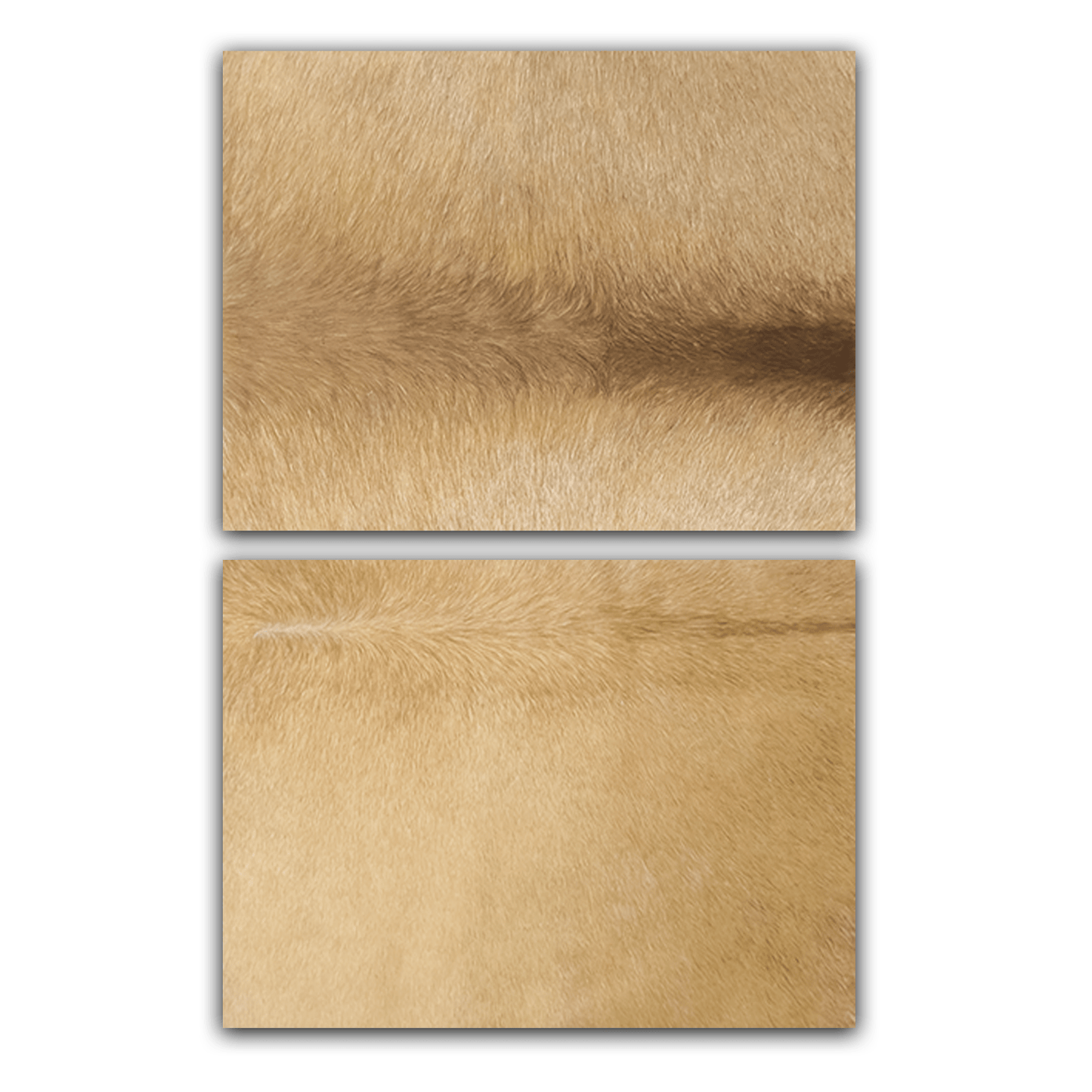 Echtes Kuhfell 2er - Platzset "Die nordische Schönheit" Tischset handgefertigt geruchsneutral Esstisch, modern champaner blond 40x30cm - unendlich - schoen