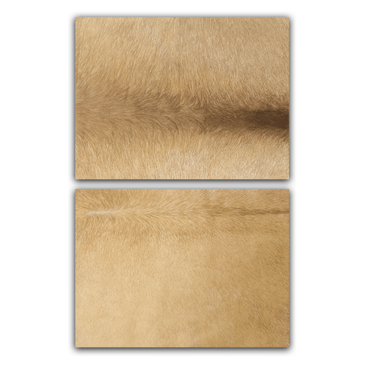 Echtes Kuhfell 2er - Platzset "Die nordische Schönheit" Tischset handgefertigt geruchsneutral Esstisch, modern champaner blond 40x30cm - unendlich - schoen