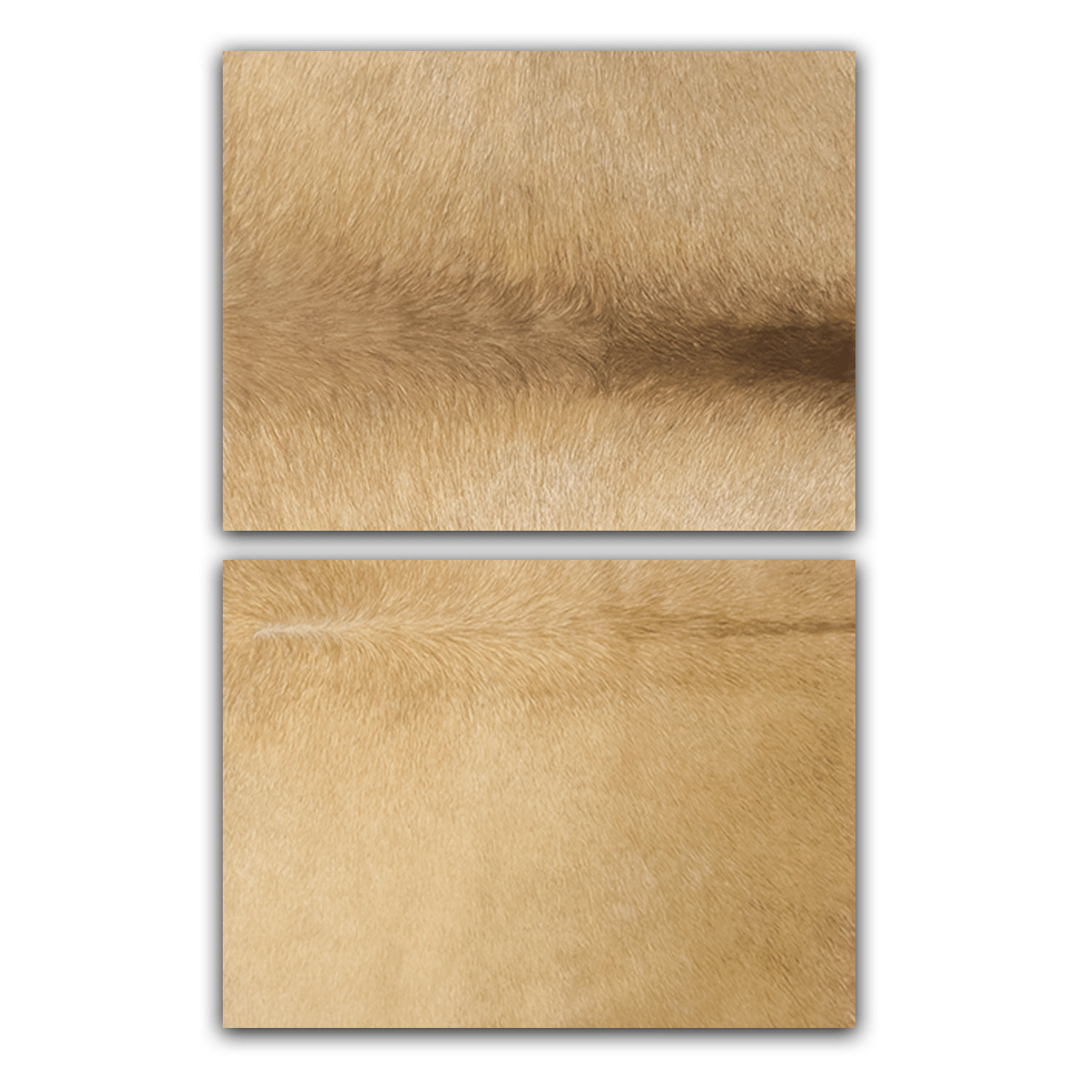 Echtes Kuhfell 2er - Platzset "Die nordische Schönheit" Tischset handgefertigt geruchsneutral Esstisch, modern champaner blond 40x30cm - unendlich - schoen