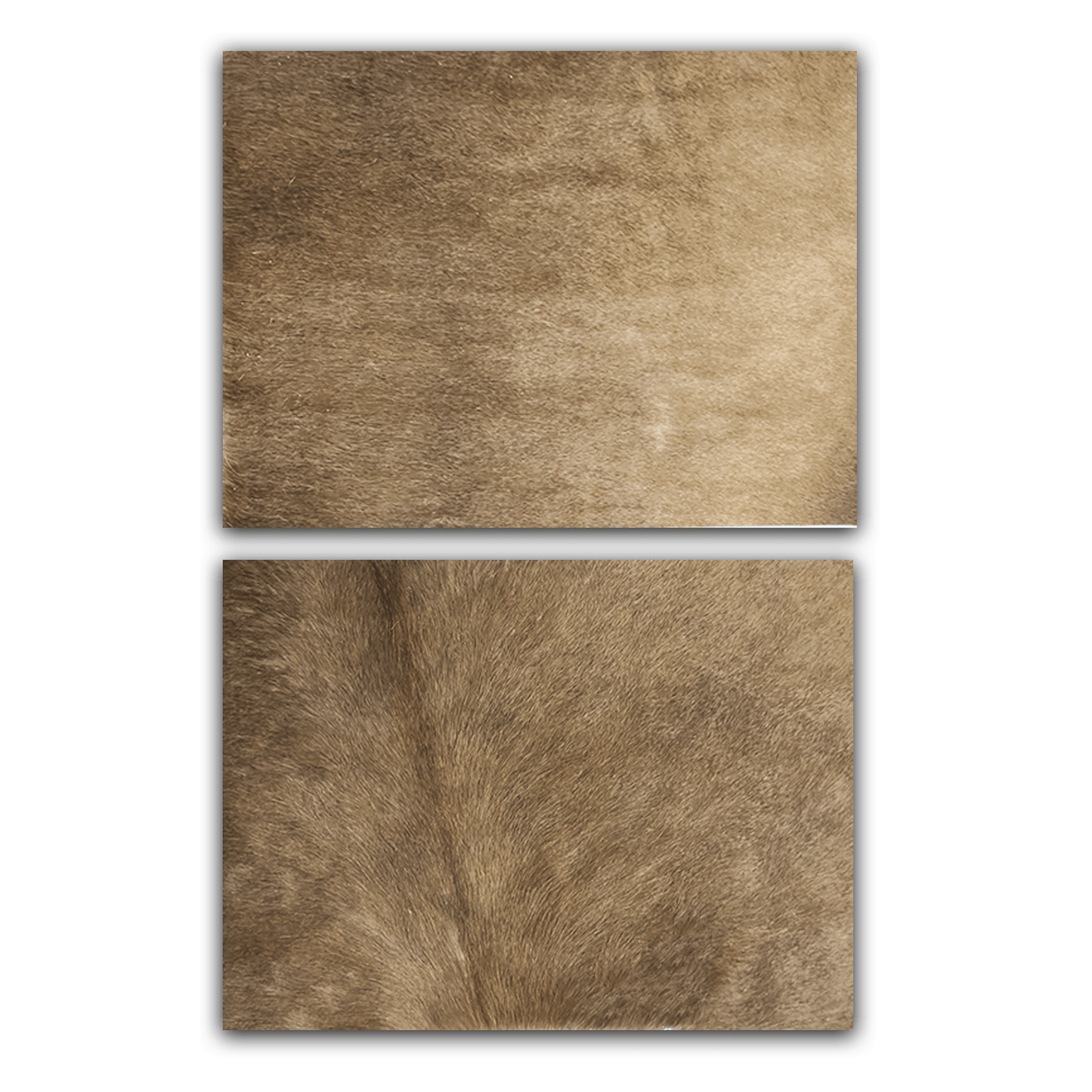 Echtes Kuhfell 2er - Platzset "Die warme Schönheit" Tischset handgefertigt geruchsneutral Esstisch, modern taupe braun 40x30cm - unendlich - schoen
