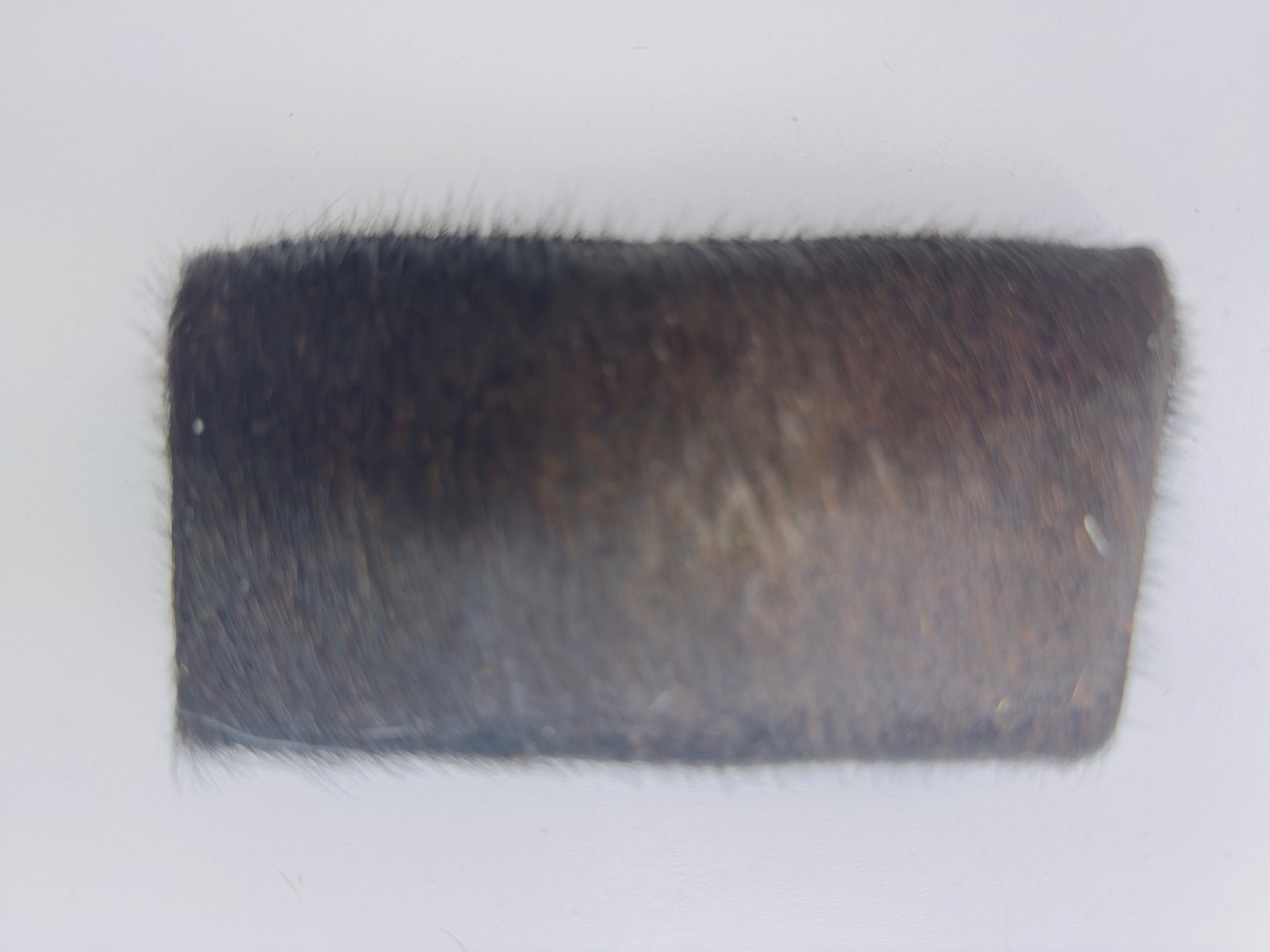 Echtes Kuhfell Portemonnaie / Geldbörse "Die schlichte Schönheit" edel & extravagant der besondere Hingucker, 2 Fächer, schwarz 12x8cm - unendlich - schoen